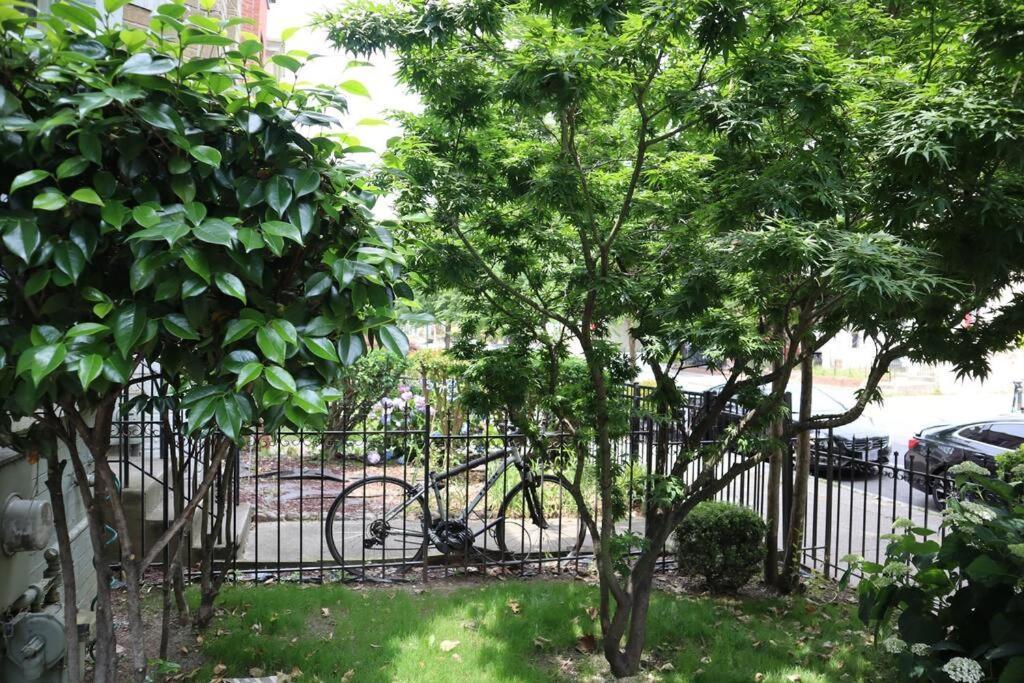 3-Bedroom House With Cute Patio Explore Dc On Foot ワシントン エクステリア 写真